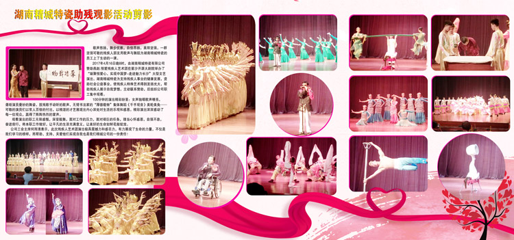 湖南7163银河官方网址赞助燕赵·恒爱残疾人艺术团圆满演出