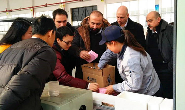 中国·7163银河(股份)有限公司-官方网站